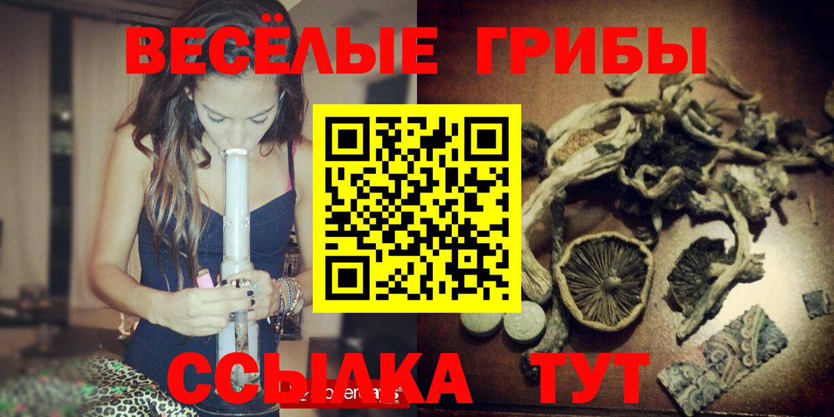 Галлюциногенные грибы Psilocybe Нововоронеж