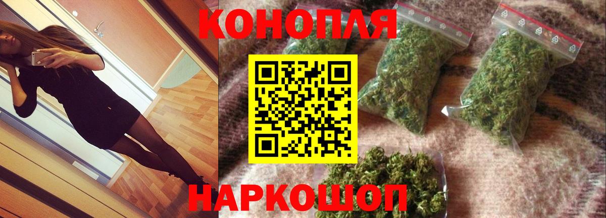 Конопля OG Kush Нововоронеж